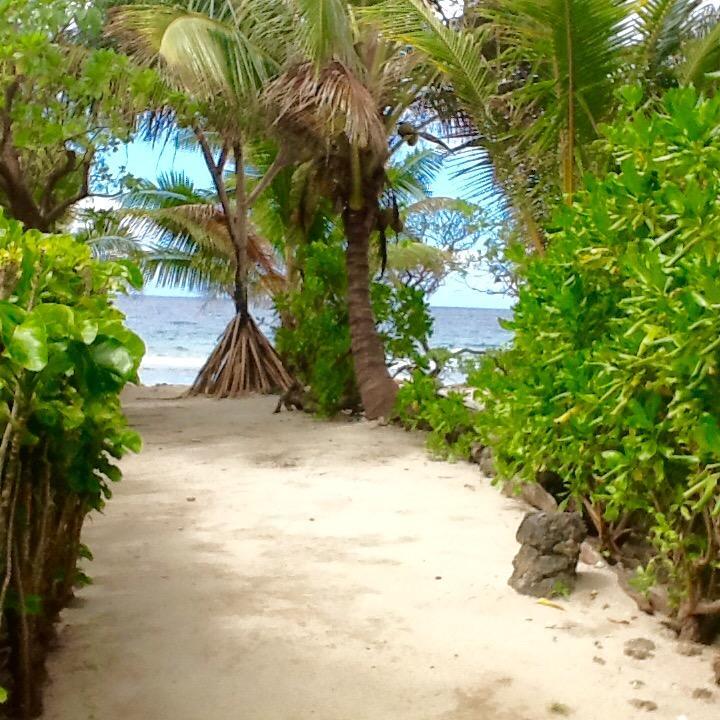 Fare Maeva Moorea Hotel Teavaro Eksteriør billede