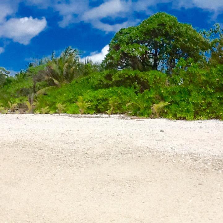 Fare Maeva Moorea Hotel Teavaro Værelse billede